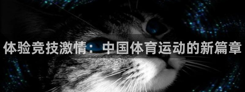 球速体育：体验竞技激情：中国体育运动的新篇章