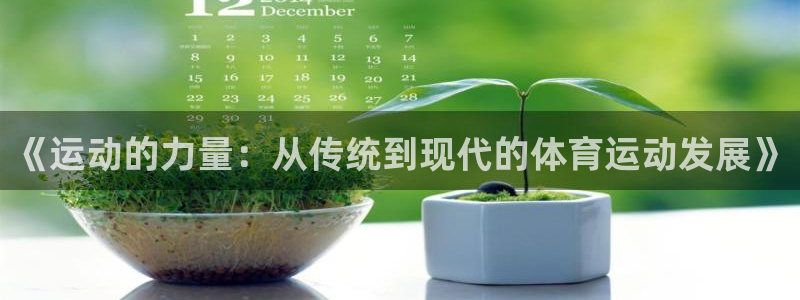 球速体育：《运动的力量：从传统到现代的体育运动发展》