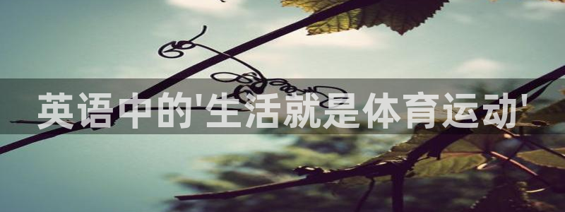 球速体育：英语中的\'生活就是体育运动\'