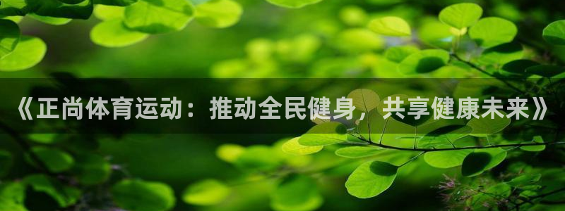 球速体育：《正尚体育运动：推动全民健身，共享健康未来》