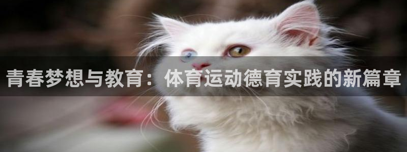 球速体育：青春梦想与教育：体育运动德育实践的新篇章